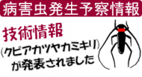 あ