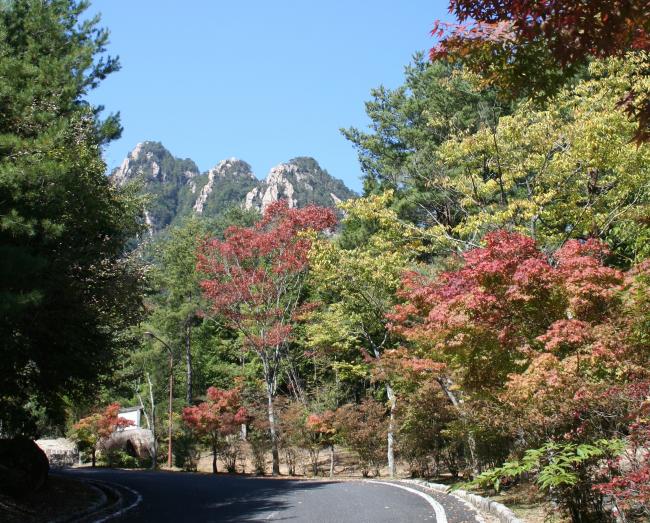 大竹市1