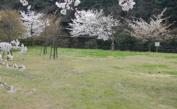 川の丘広場