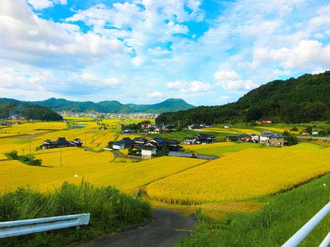 世羅町1