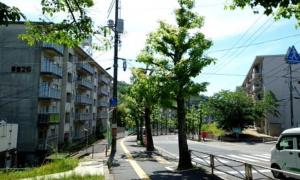 高陽落合画像 左26,右17棟