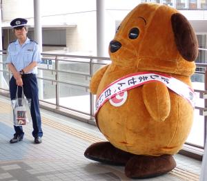 啓発活動の写真6