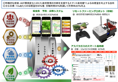 テーマ:施設アスパラガスの高収益で省力的な技術の確立