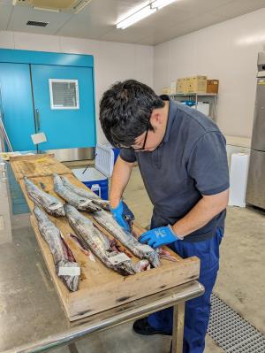 水産技術センター職員写真3